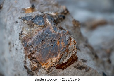 A Close Up Chert In Limestone