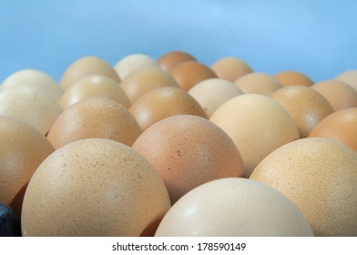 Close up chicken eggs.