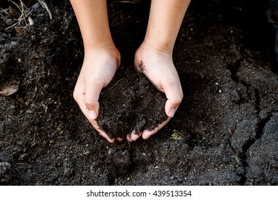 Close up Child hand carry black and organic soil.