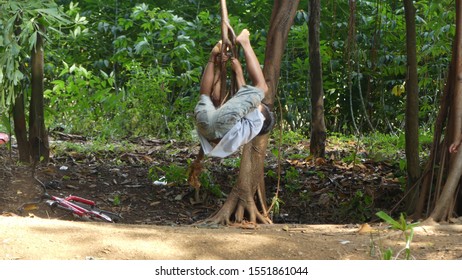 close up a child is playing swing from the root of a tree


