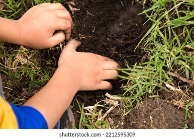 Close Up Of Child's Hands Digging A Hole In The Ground. Child Planting. Gardening Work