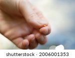 Close up of Christian woman holding the mustard seed in fingers. Strong faith in God and Jesus Christ. Believe and be faithful always. The biblical concept of faith, hope, love.