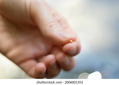 Close Up Of Christian Woman Holding The Mustard Seed In Fingers. Strong Faith In God And Jesus Christ. Believe And Be Faithful Always. The Biblical Concept Of Faith, Hope, Love.