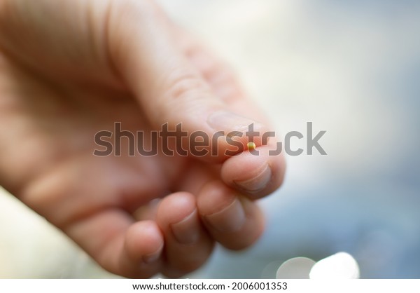 Close up of\
Christian woman holding the mustard seed in fingers. Strong faith\
in God and Jesus Christ. Believe and be faithful always. The\
biblical concept of faith, hope,\
love.