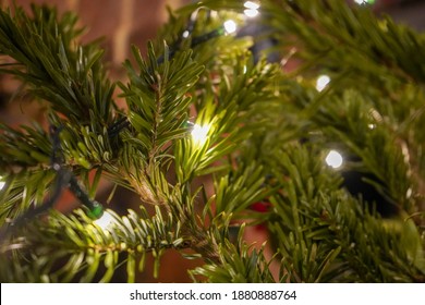 Close Up Of Christmas Tree Lights On A Real Christmas Tree