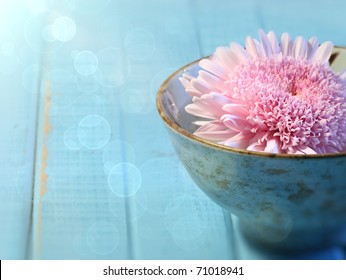 Close Up Of Chrysanthemum Flower Floating In Bowl Of Water