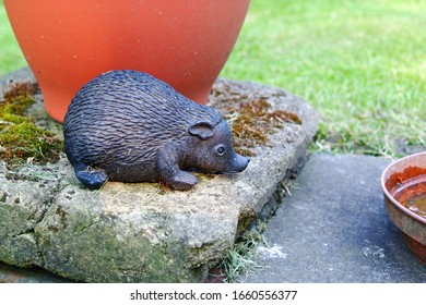 Up Close Clay Hedgehog In Garden Next To Water Dish For Birds Bath And Flower Pot Base On Rock Paving Stone With Grass In Background.