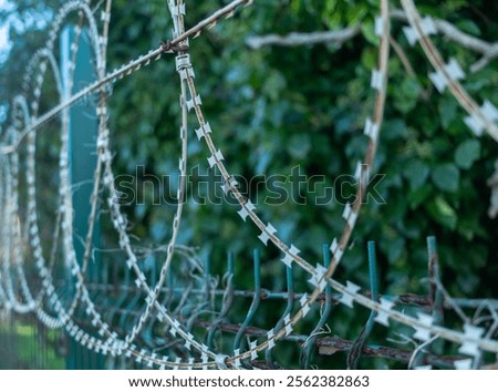 Close up of coiled sharp razor wire fence that prohibits entry into private property.