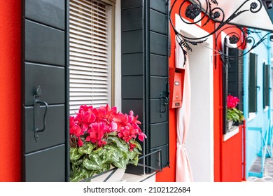Close up of the colorful red facade of a traditional residential house in Burano, with a window holding a flower pot in the foreground