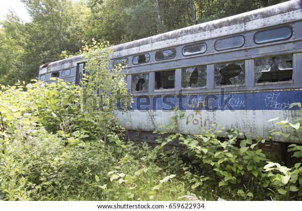 Close\
up of commuter train car wreck in weeds of\
woods.