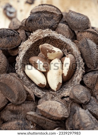 Similar – Dried poppy seed capsules on an old metal plate