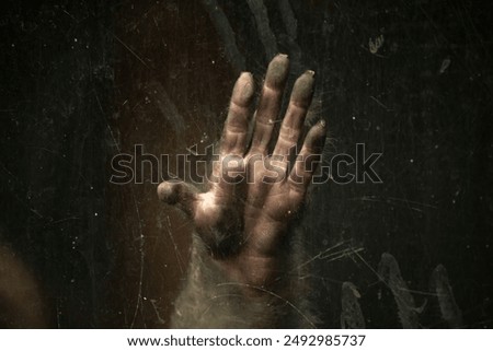 Close up conceptual image of a Monkey trapped inside a glass cage held in captivity.