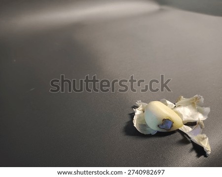 Close Up Contaminated Garlic Sample