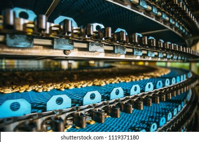 Close Up Of Conveyor Line At Confectionary Factory, Food Industry. Cookie And Pastry Production