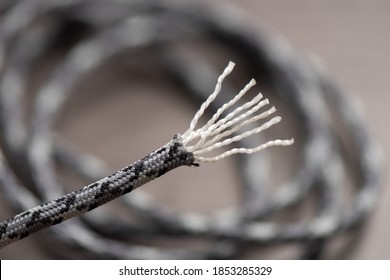 Close up cords inside gray paracord. Paracord or Parachute cord is a lightweight nylon kernmantle rope.
