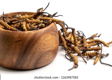 Close Up Cordycep Sinensis (CHONG CAO) Or Mushroom Cordyceps On Wooden Bowl On Isolated Background. Medicinal Properties In The Treatment Of Diseases. National Organic Medicine.