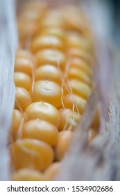 close up of a corn cob