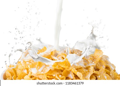 Close up of Cornflake and Cereal With Milk Splash