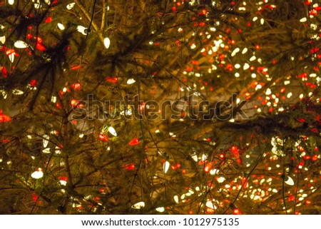 Close Countless Red White LED Christmas Stock Photo (Edit Now A close up of countless red and white LED Christmas lights in the branches of a - Close Countless Red White LED Christmas Stock Photo (Edit Now
