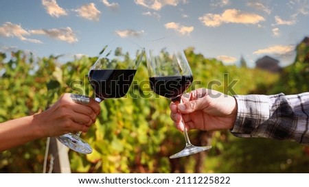 Close up of couple  drinking wine as having fun in the wineyards with evening sky scene at  Bordeaux France