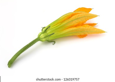 13,260 Courgette Flowers Images, Stock Photos & Vectors | Shutterstock