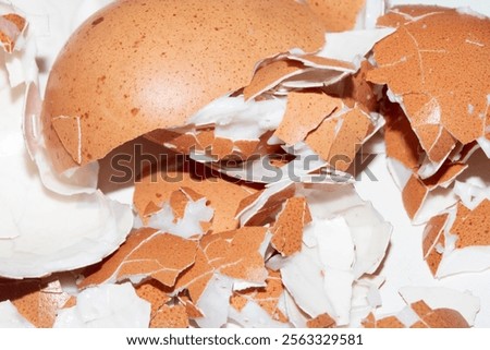 Close Up of a Cracked Peeled Shell Broken Egg on White Background
