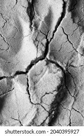 Close up of cracked texture