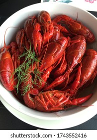 Close up of cray fish or craw fish with dill - A food tradition in Swedish culture in fall