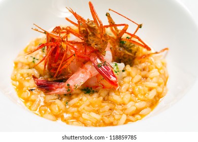 Close up of creamy risotto rice dish with red prawns.
