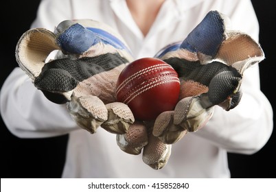 Close Up Of Cricket Ball In Keeper Gloves