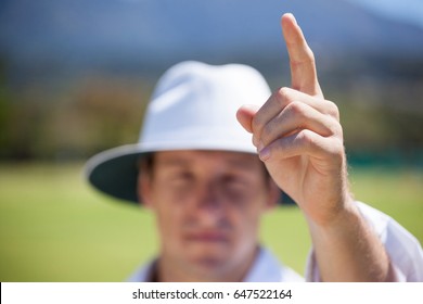 Close up of cricket umpire signaling out sign during match on sunny day - Powered by Shutterstock