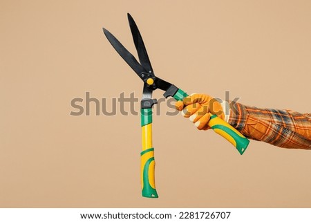 Close up cropped male holding in hand arm hedge shears scissorries isolated on pastel plain light beige color background studio. Plant caring working in garden concept. Copy space advertising mock up