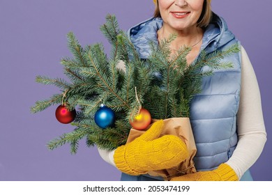 Close Up Cropped Mature Elderly Senior Lady Woman 55 Years Old Wear Blue Waistcoast Yellow Hat Mittens Holds Bouquet Of Spruce Branches Isolated On Plain Pastel Light Violet Background Studio Portrait