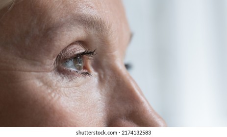 Close up cropped shot, face of senior woman eye looking straight, into distance. Eyesight, ophthalmology clinic advertisement for older, eye-care, disease prevention, vision care and treatment concept - Shutterstock ID 2174132583