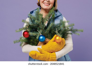 Close Up Cropped Smiling Mature Elderly Lady Woman 55 Years Old Wears Blue Waistcoat Yellow Hat Mittens Hold Bouquet Of Spruce Branches Isolated On Plain Pastel Light Violet Background Studio Portrait