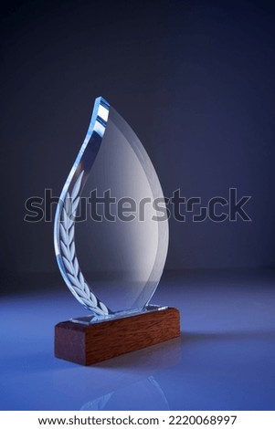 close up of crystal  trophy                          