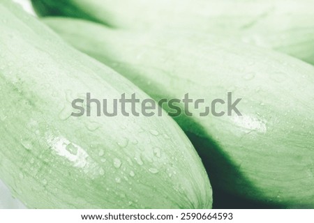 A Close up of cucumbers
