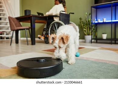 Close Up Of Curious Pet Dog Sniffing Robot Vacuum Cleaner In Modern Smart Home Apartment