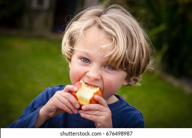 Close Up Of A A Cute Blonde Child Wearing A Blue Shirt  Taking A Bite Of An Apple