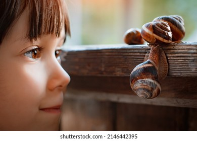 Close up of cute little girl intently watching small snail crawling along wooden bench while sitting comfortably in garden outdoor while, kids spending time in nature, child exploring environment - Powered by Shutterstock