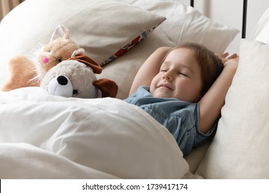 Close Up Cute Little Girl Sleeping In Bed With Favorite Fluffy Toys, Taking Day Nap, Resting On Soft Pillows In Cozy Bed, Adorable Preschool Kid Relaxing In Bedroom, Healthy Peaceful Sleep