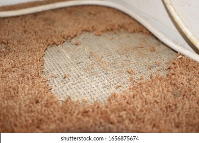 1,679 Ruined carpet Images, Stock Photos & Vectors | Shutterstock