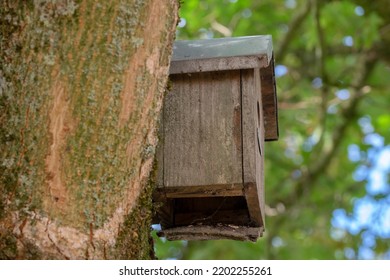 339 Broken birdhouse Images, Stock Photos & Vectors | Shutterstock