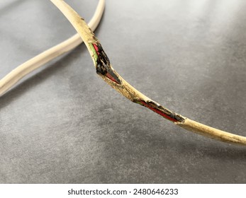 Close of of damaged electrical wire which has been eaten by rodents and then overheated causing burn damage to the copper and insulating plastic