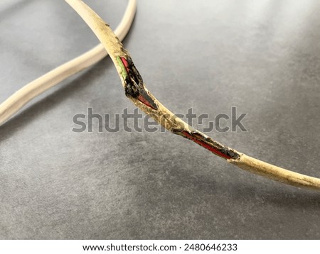 Close of of damaged electrical wire which has been eaten by rodents and then overheated causing burn damage to the copper and insulating plastic