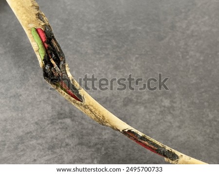 Close of of damaged electrical wire which has been eaten by rodents and then overheated causing burn damage to the copper and insulating plastic