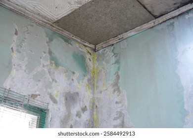 Close up of a damaged wall corner with peeling paint and signs of water damage. The wall shows significant deterioration. Damaged Wall Corner Showing Peeling Paint and Water Damage