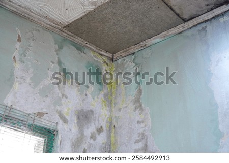 Close up of a damaged wall corner with peeling paint and signs of water damage. The wall shows significant deterioration. Damaged Wall Corner Showing Peeling Paint and Water Damage