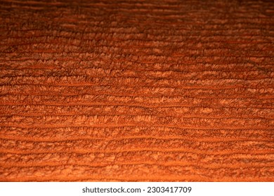 close up of damp orange textured fabric with lines between the low pile and high pile parts of the fabric. soft comfy warm vibrant, happy, cozy. background with copy space
