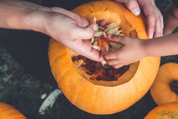 A Close Up Of Daughter And Father Hand Who Pulls Seeds And Fibrous Material From A Pumpkin Before Carving For Halloween. Prepares Jack-o-lantern. Decoration For Party. Little Helper. Top View.